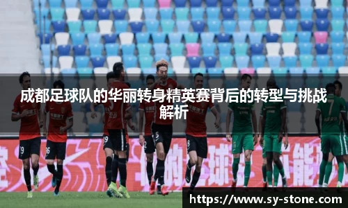 成都足球队的华丽转身精英赛背后的转型与挑战解析