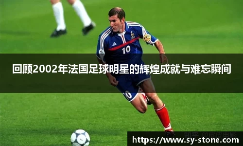 回顾2002年法国足球明星的辉煌成就与难忘瞬间